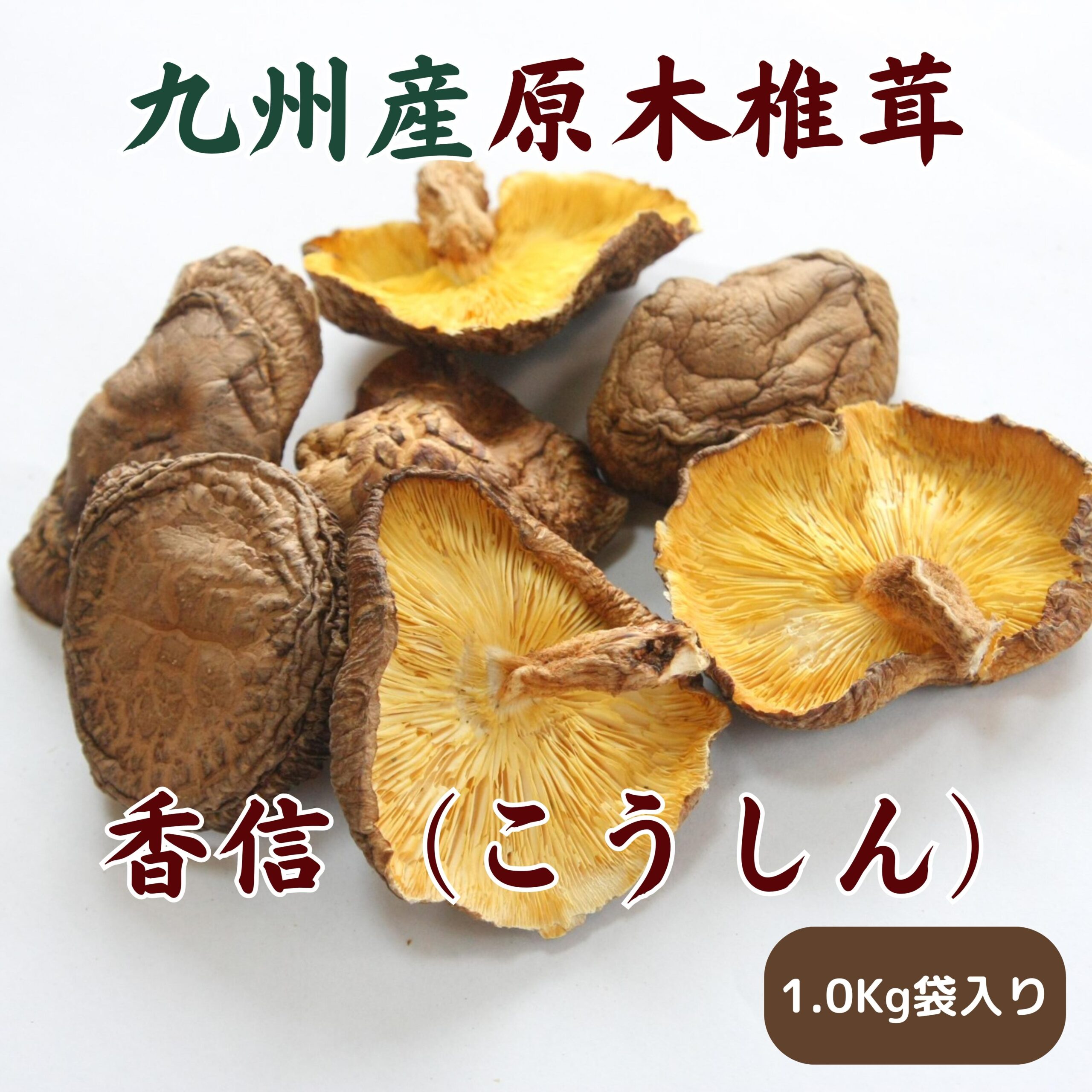 九州産原木椎茸　香信　1kg